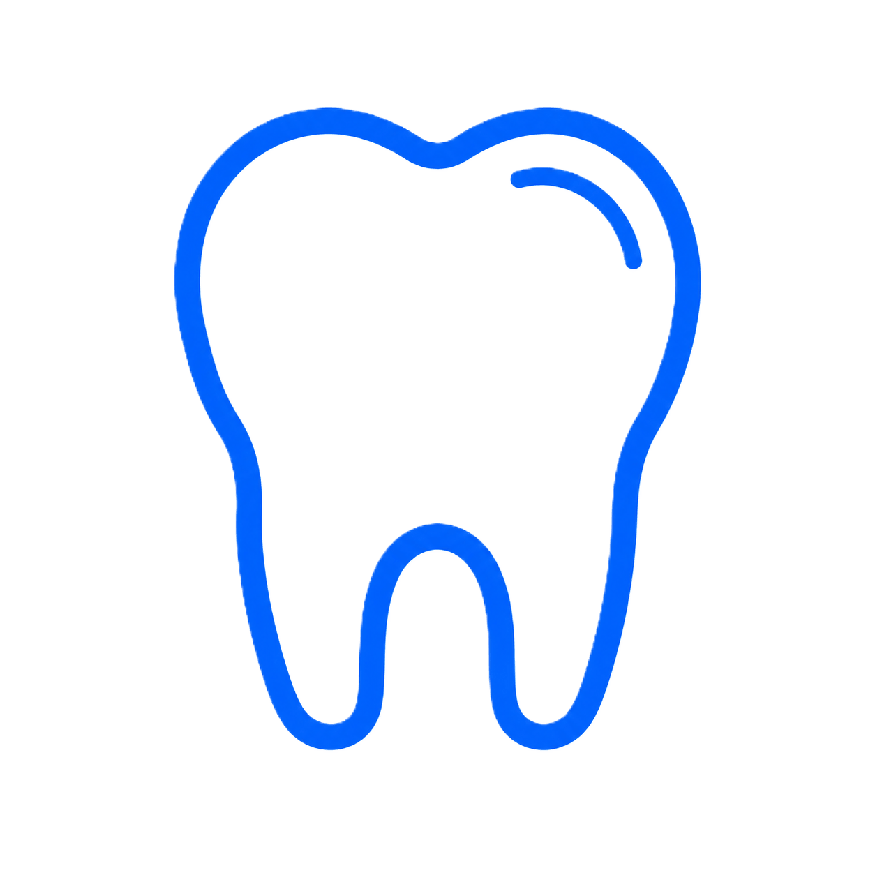 teeth